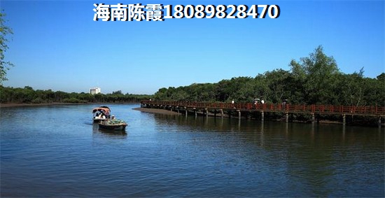 定安房价低的小户型区域推荐（阳光椰风苑房子价格稳定）