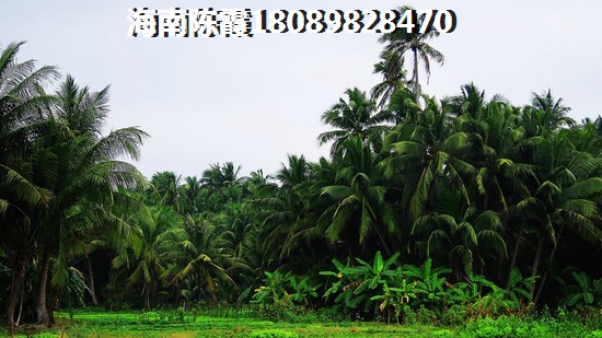买景园·悦海湾二手房划算吗？海南澄迈二手房增值潜力解读~