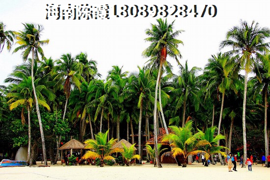 异地如何在文博府买房，北方人异地全款买房！