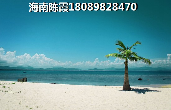丽晶维港房价+配套分析！2023丽晶维港适合买吗？