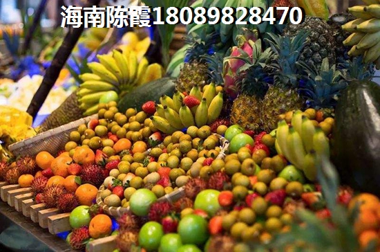 椰岛广场PK丹玺琉泉房价走势分析！海南海口未来发展趋势