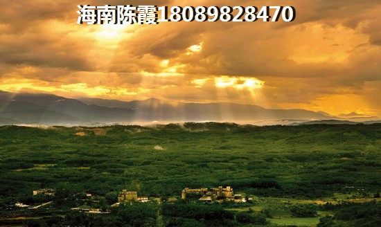 如今海南海口市购房适合吗？丽晶维港PK国安七星海岸山东外地人选哪个？