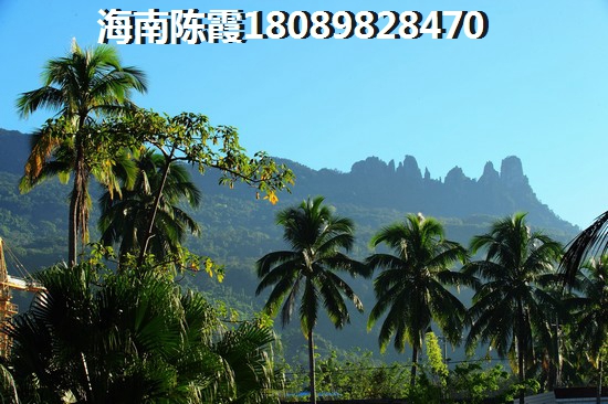 宜家居PK海马金盘花园“候鸟”老人选哪个？海口的房子是否会升值？