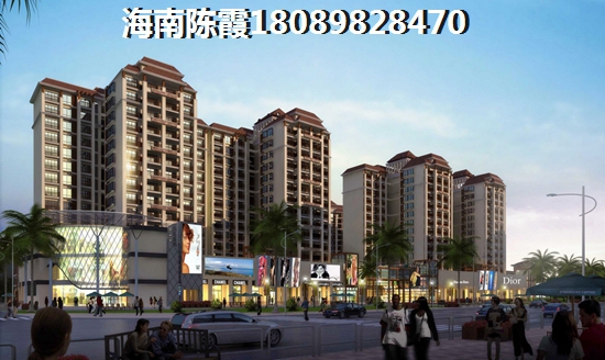 2024年碧海蓝天买房《度假篇》~海口买房攻略《养老篇》~