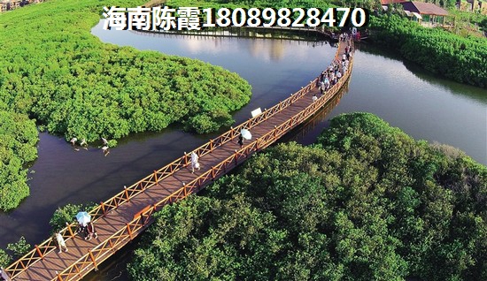 买城投海一方特价房靠谱吗？海南特价房54万首付哪些楼盘有？