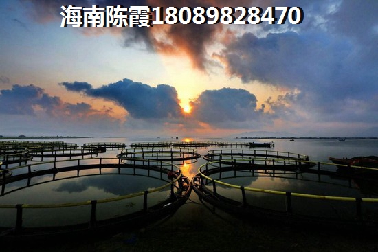 蓝城一号二期VS琼海商业步行街哪个便宜？海口市“候鸟”老人买房有哪些限制条件？