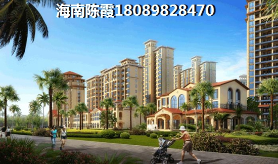 吾悦广场VS琥珀悠澜北方人选哪个？海南海口市升值空间大的项目