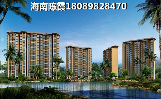 候鸟老人为何看好龙栖湾新半岛的未来，海南乐东2024房价是否会暴涨？
