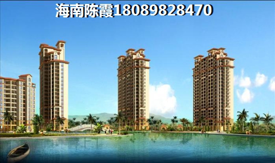 海口房产投资新宠华林广场，未来可期！