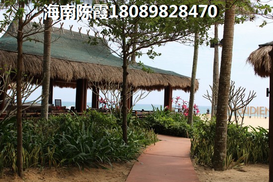 三亚中央公馆揭秘升值潜力，房价优惠大放送！