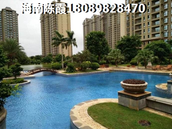 揭秘金龙湾海景房的财富密码与魅力所在！为何它成为投资界的新宠儿？